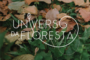 Universo da Floresta